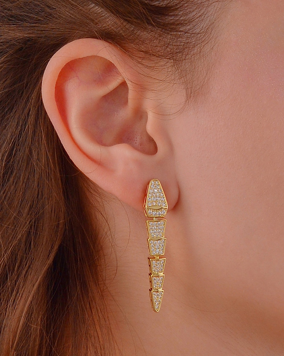 Earring