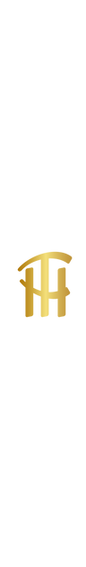 Tasneem Hassan logo